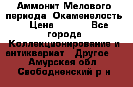 Аммонит Мелового периода. Окаменелость. › Цена ­ 2 800 - Все города Коллекционирование и антиквариат » Другое   . Амурская обл.,Свободненский р-н